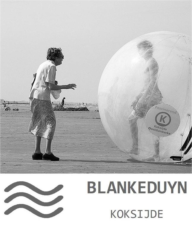 Blankeduyn Koksijde Appartement Buitenkant foto